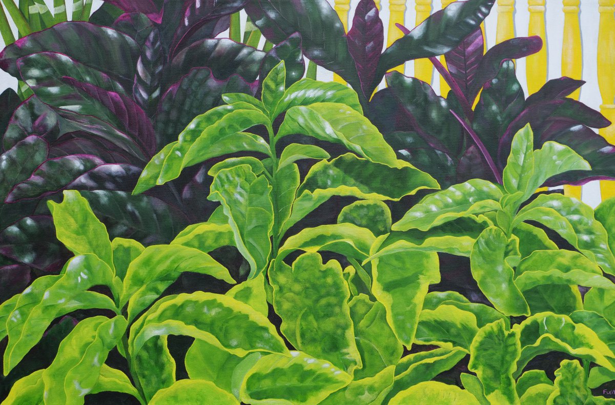 Floral Series 20 By Steven Fleit, 36 X 24, Artwork For Sale On Artfinder