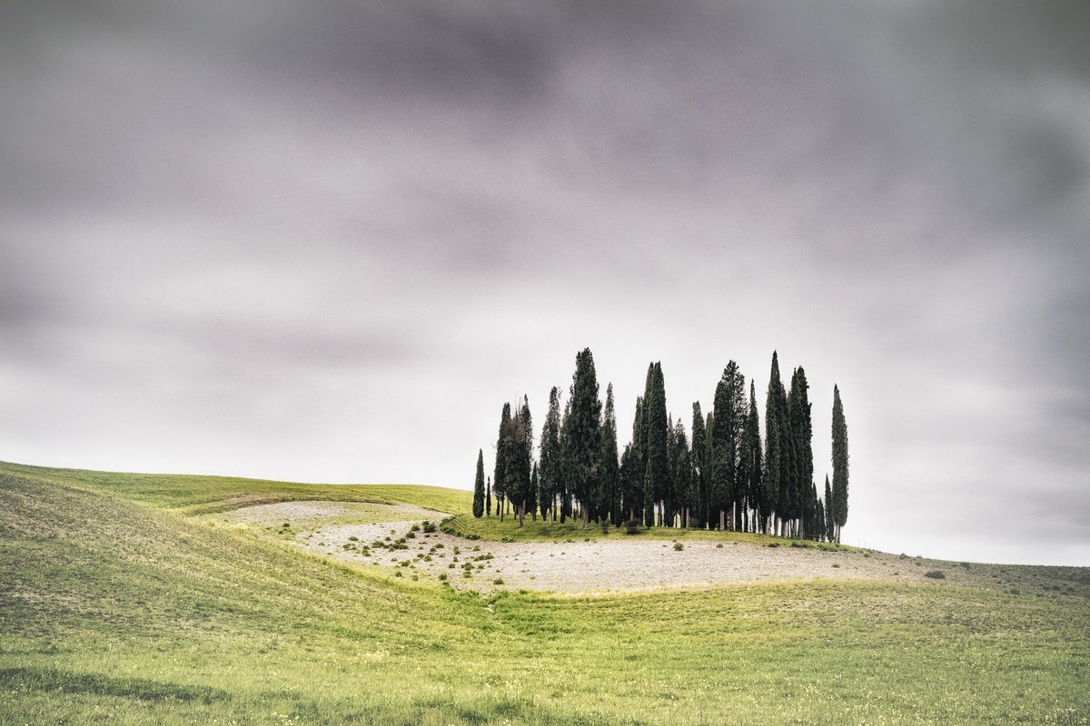 Impressionistic Photograph , I Cipressini By Karim Carella, 45 X 31, Artwork For Sale On Artfinder