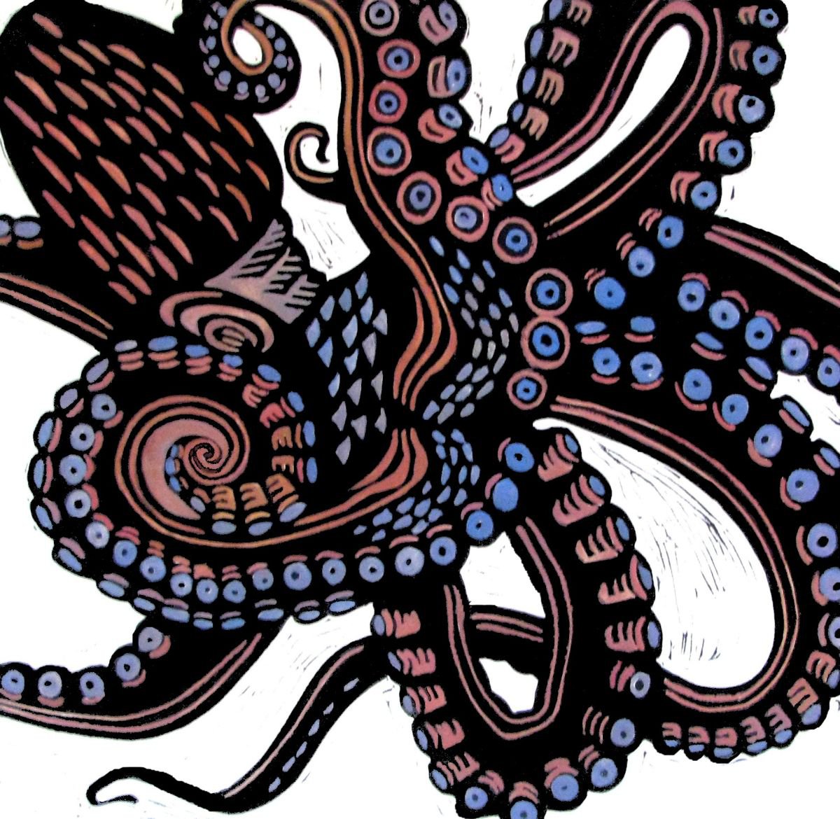 O is for Octopus by Laurel Macdonald