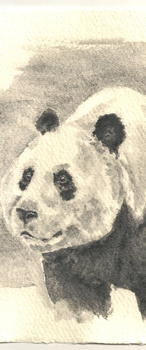 Big Panda by Ilona Borodulina
