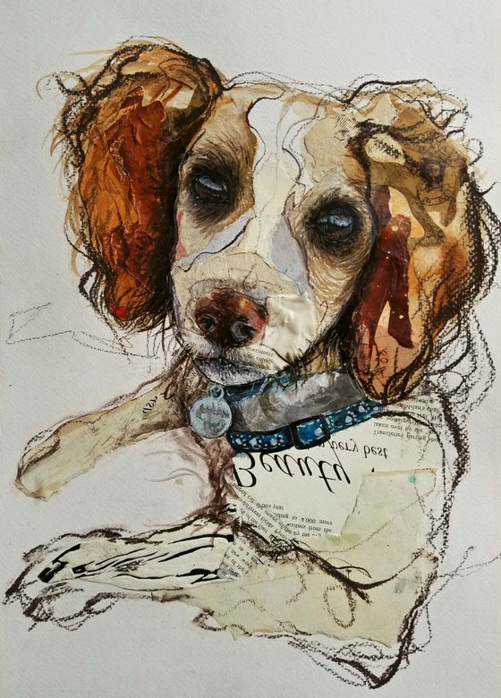 Commissioned dog Chester