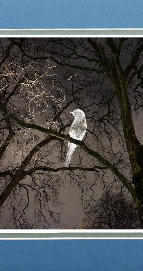 London Berkeley Square by Robin Clarke