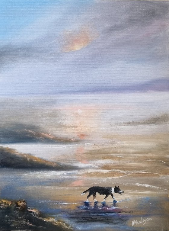 Collie at the Beach