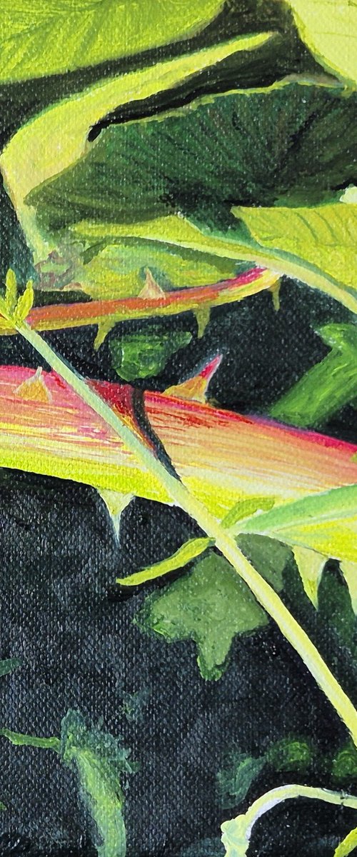 Bramble detail in the Ashdown Forest by Chris Marshall