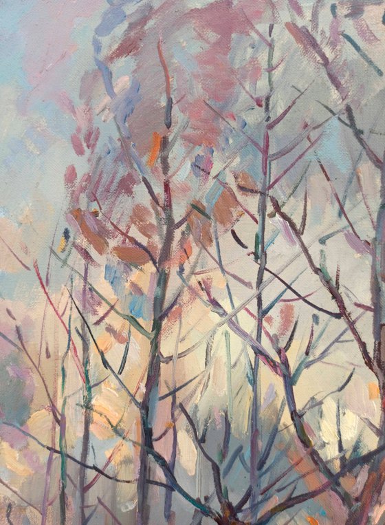 Forest landscape