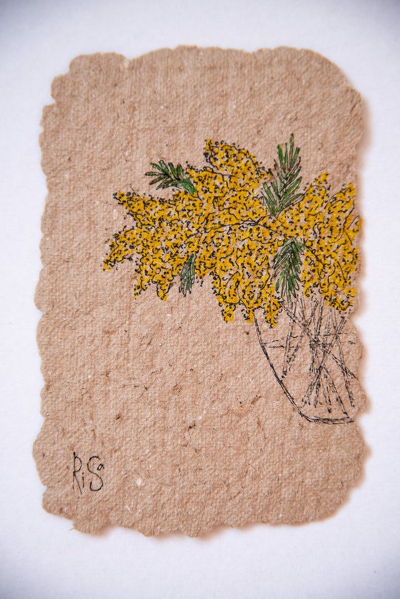 Mimoza bush drawing on the author's craft paper