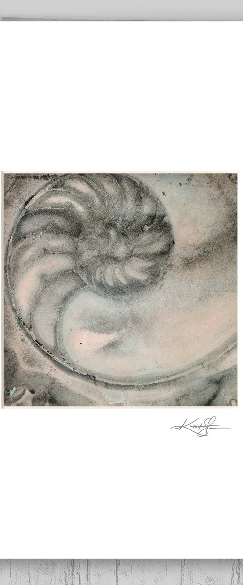 Nautilus Shell 501 by Kathy Morton Stanion