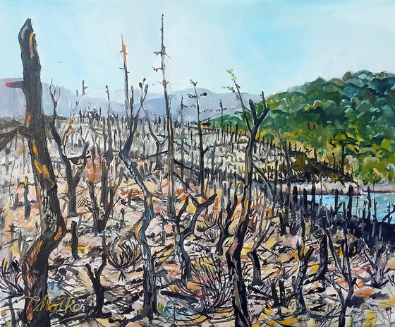 Hearth, Provence