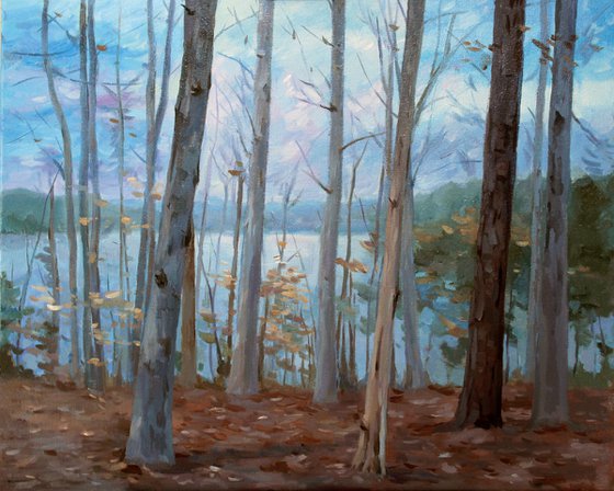 Falls Lake, Winter 02