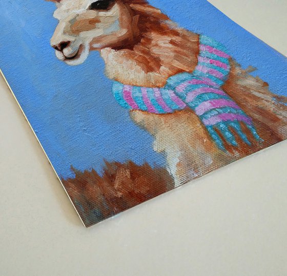 Llama in a scarf