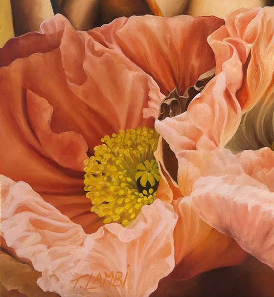 The Poppies Dance