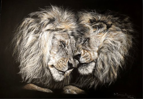 ,,Brothers'' Lions realism wild animals pastel on pastelmat by Deimante Bruzguliene