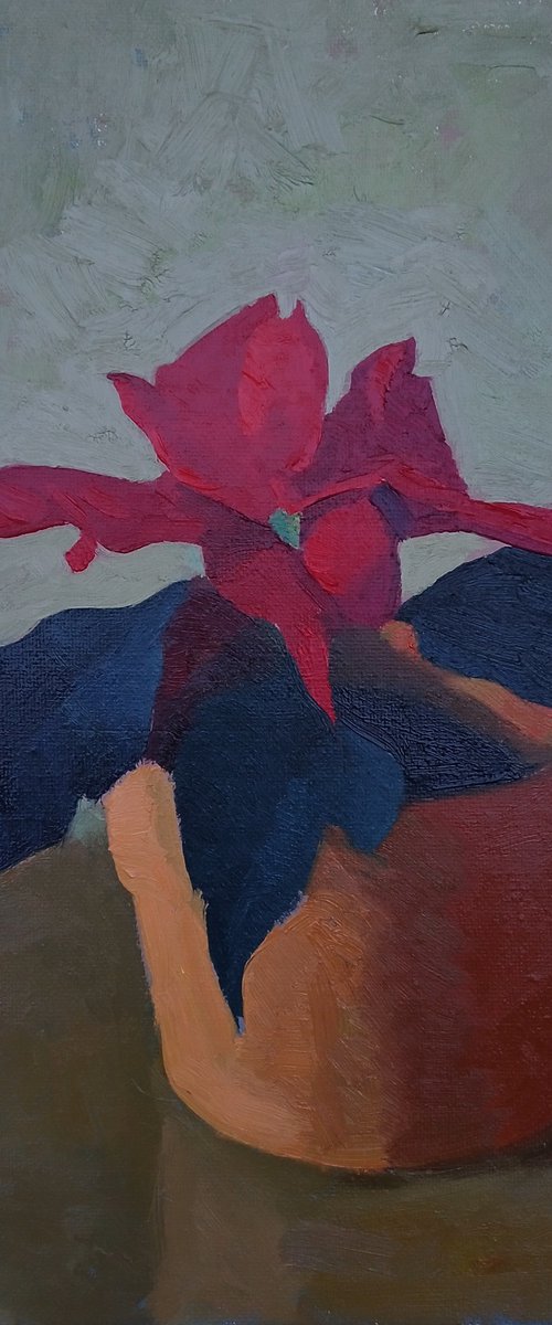 Christmas Star by Vasyl Koval