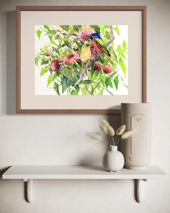 Painted Bunting Birds