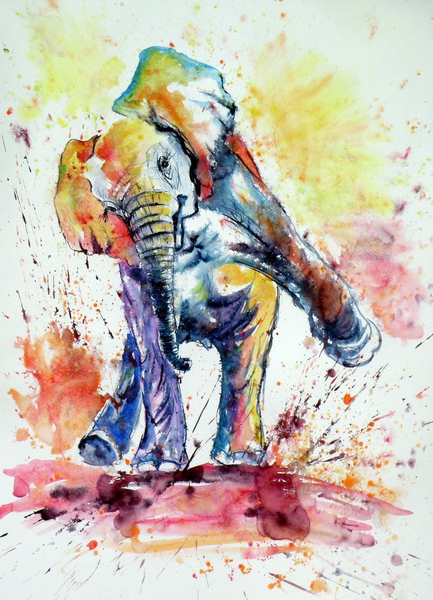 Playing elephant baby VI by Kovacs Anna Brigitta
