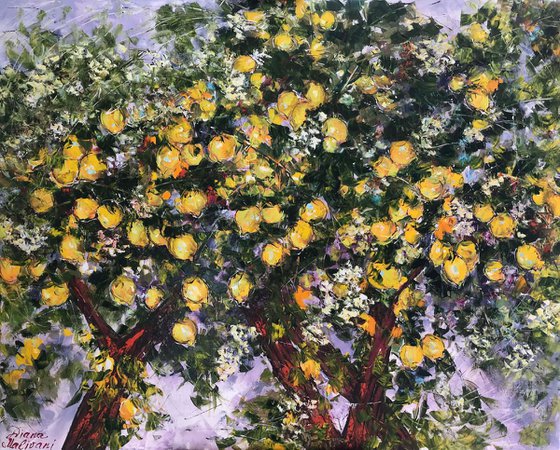 Bloomy Lemon Trees