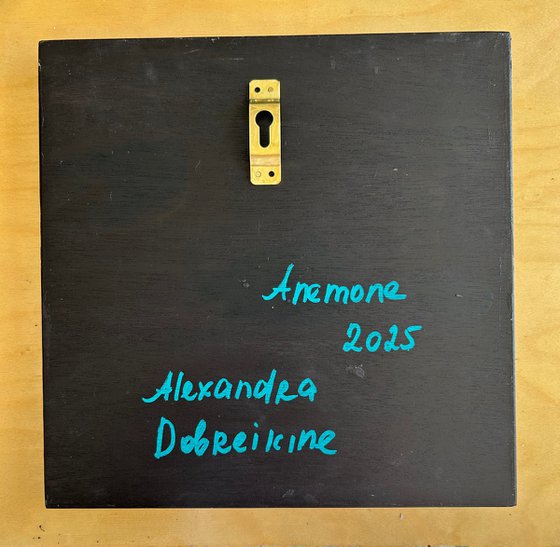 Anemone