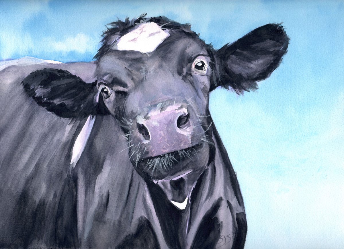 Silly Moo by Sarah Stowe