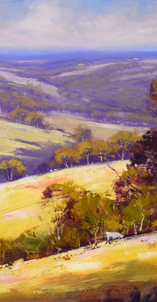 Australian summer landscape by Graham Gercken