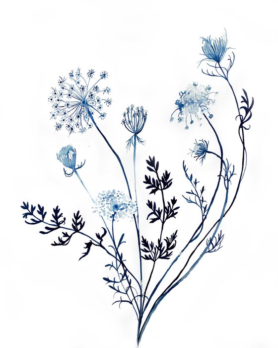 Queen Anne's Lace No. 14