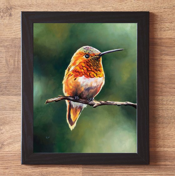 Rufous hummingbird in the wild