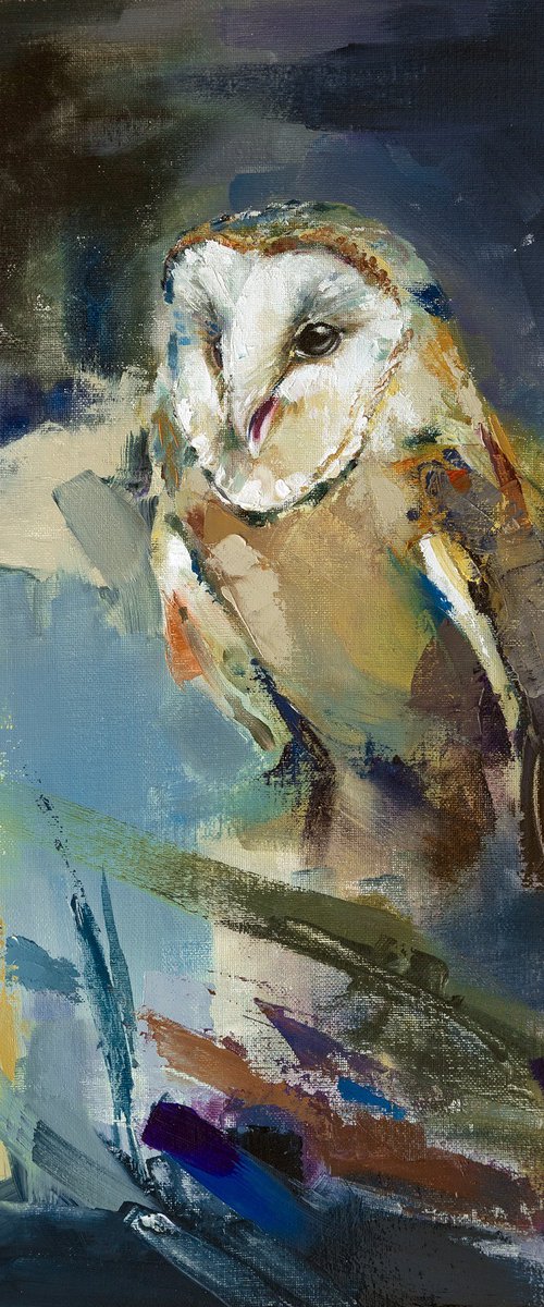 Barn Owl by Andrzej Rabiega
