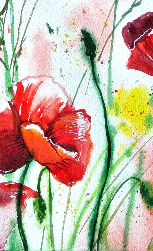 Poppies from Chavannes III by Ksenia Astakhova
