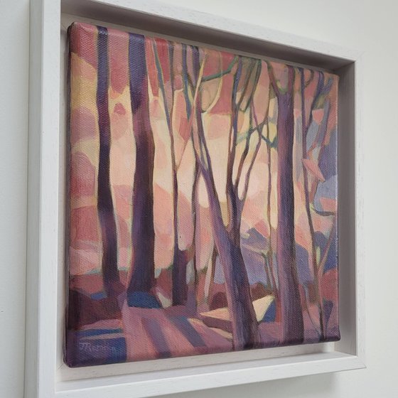 Forest Walk III