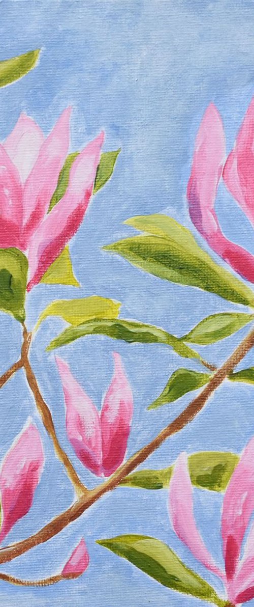 Magnolia buds by Alison Deegan