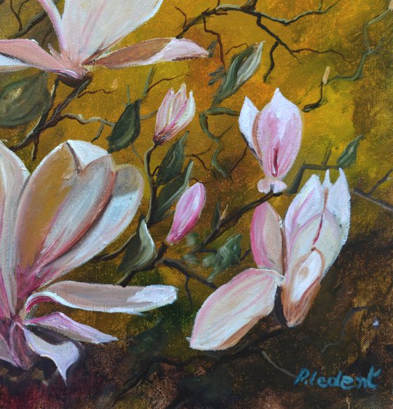 Magnolia