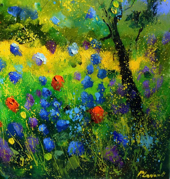 Red poppies 7788