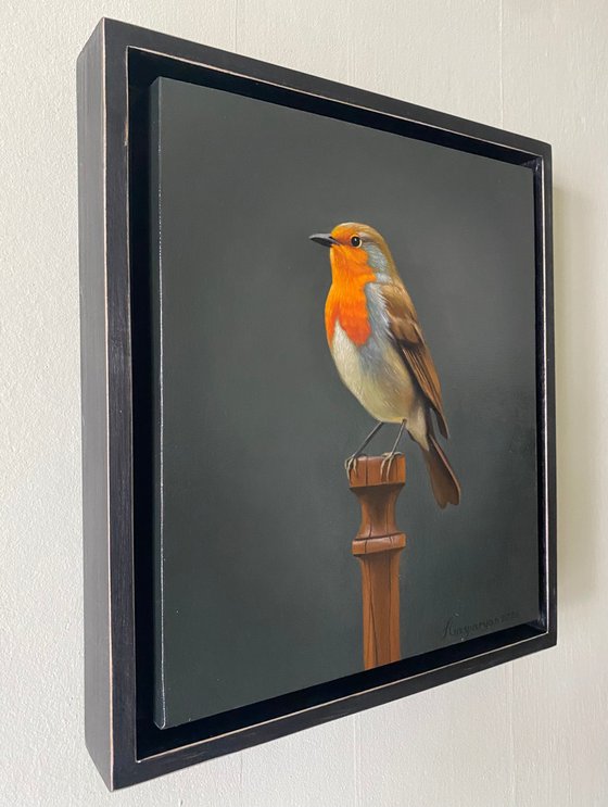 One Morning Visitor