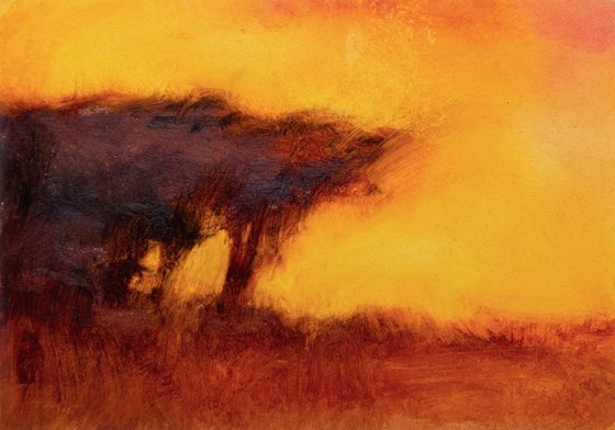 Sunset Landscape Cypress Trees, 5x7 inches