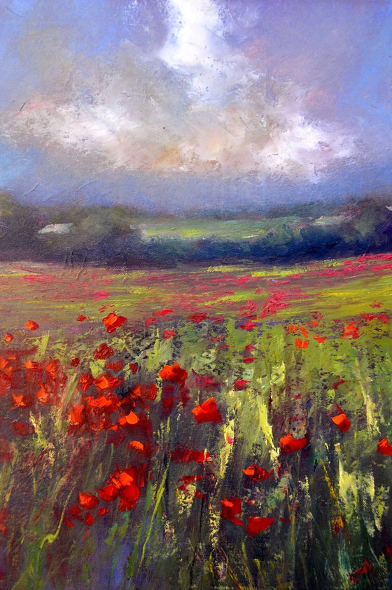 Landscape with poppy field