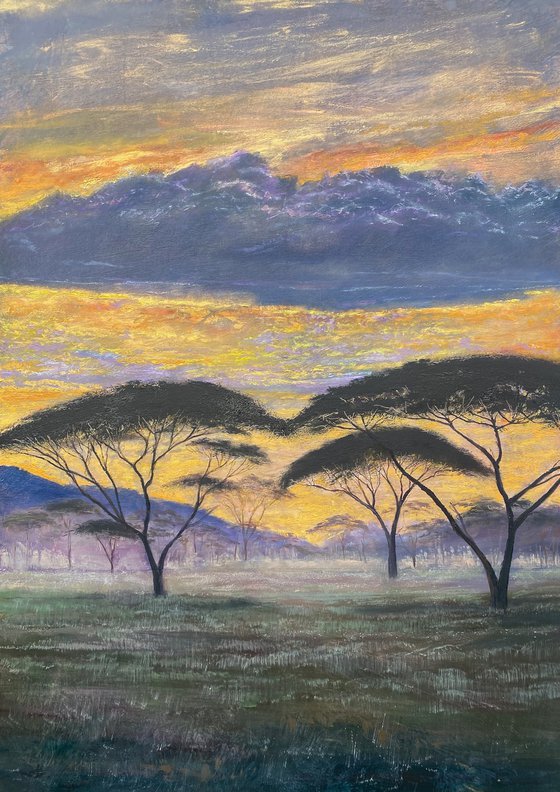 Savannah Sunset