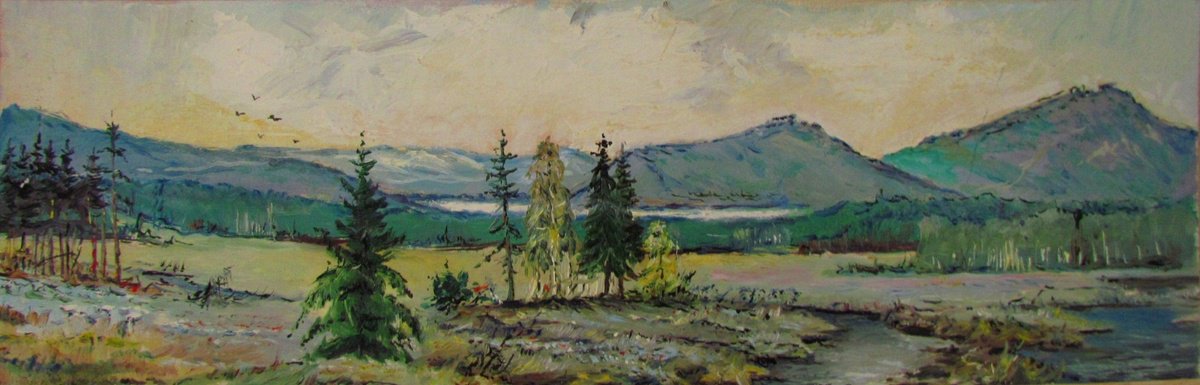 Montain landscape by Viktoriia Pidvarchan
