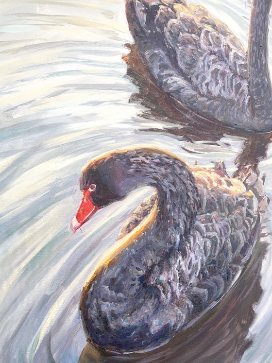 "Black swans"