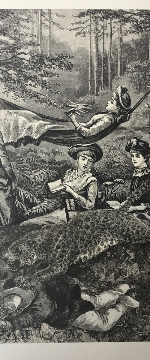 Reading in the Woods by Tudor Evans