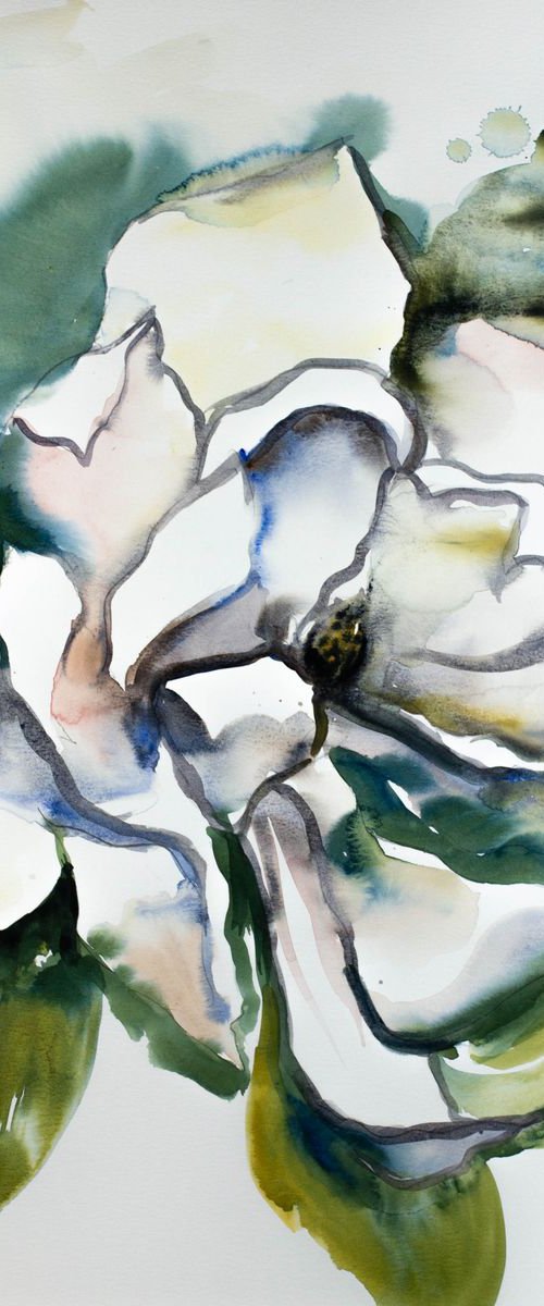 Magnolia No. 27 by Elizabeth Becker