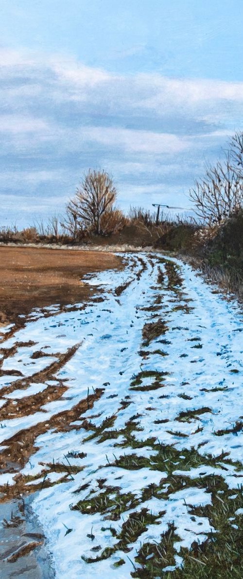 Snow Hides In The Shadows by Christopher Witchall