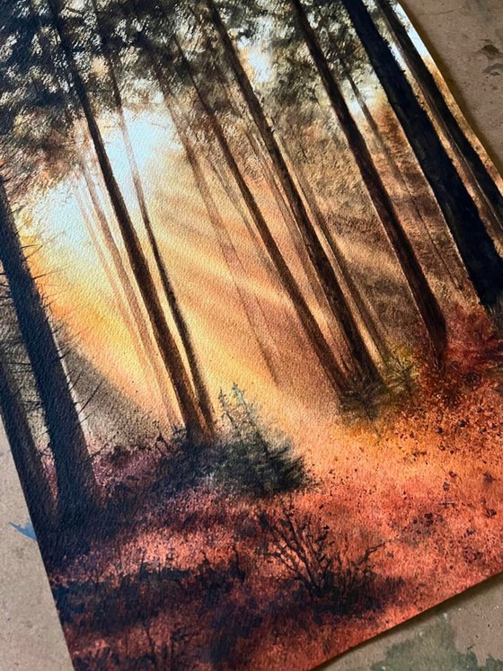 Forest Clearing