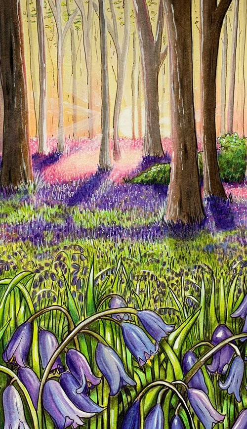 Bluebell wood by Karen Elaine  Evans