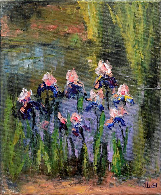 Irises on the pond