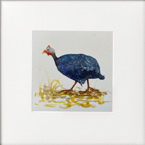 Guinea Fowl Framed