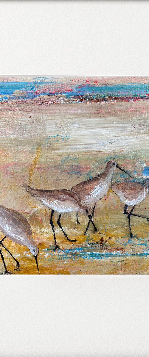 Wading Birds on the beach by Teresa Tanner