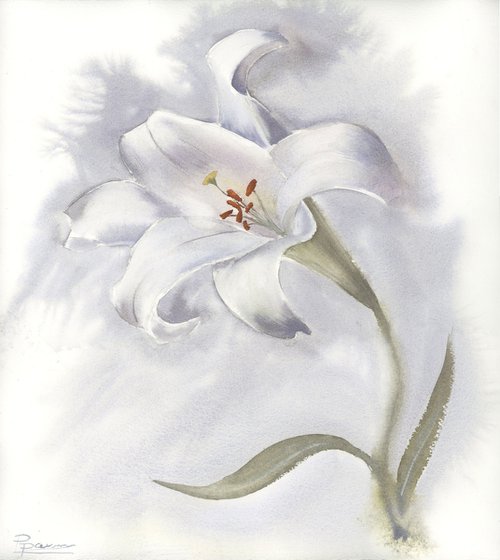 Lily flower by Olga Shefranov (Tchefranov)