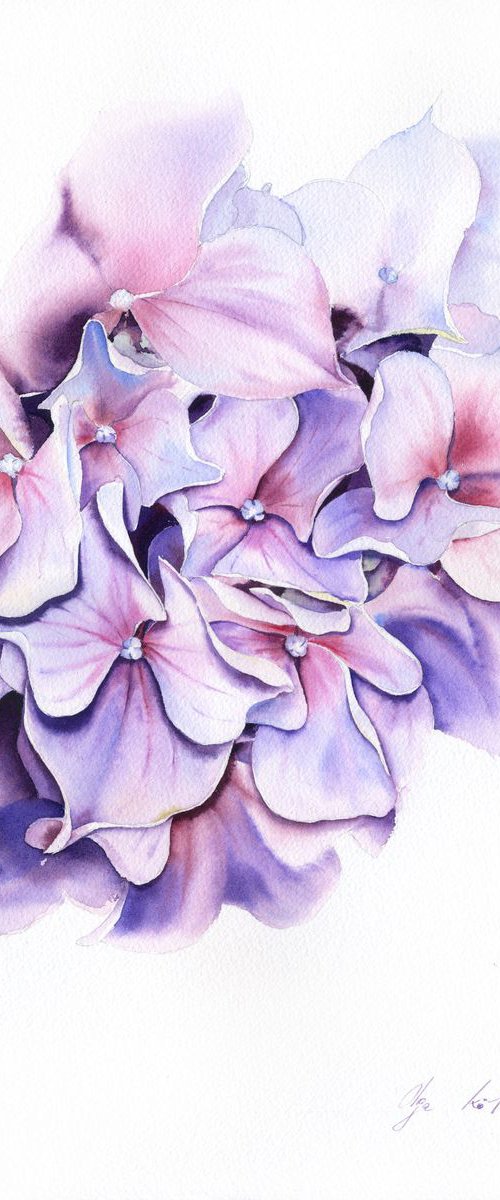 Purple Hydrangea by Olga Koelsch