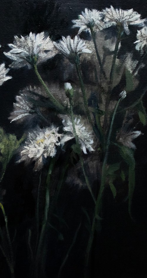 Flowers in the dark by Mazen Ghurbal