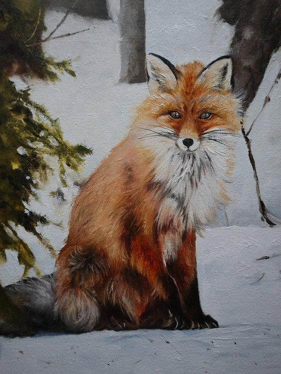 Red Fox Painting Oil