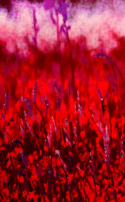 Natural Abstract - Meadow Flowers Number 1 by Ken Skehan